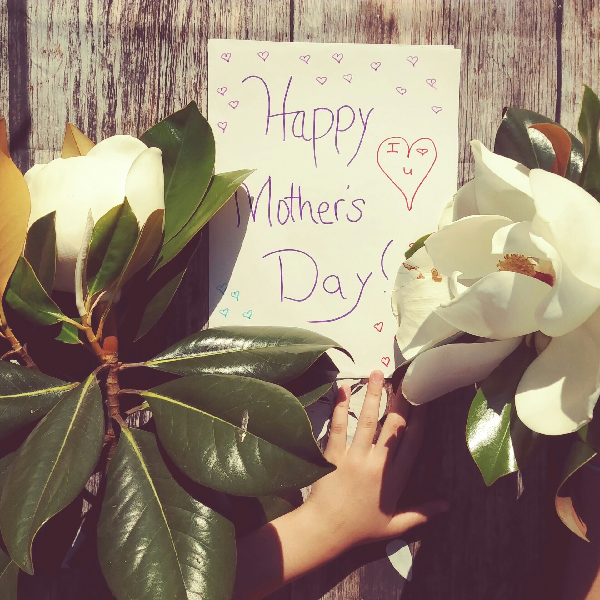 karolina-bobek-eoR84jjW1oo-unsplash